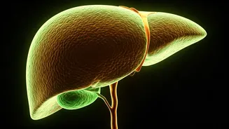 Is Too Much Vitamin D Dangerous?