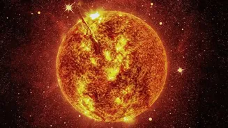 What Scientists Can Learn About Outer-Atmosphere Heating From The Newly Seen Solar Plasma Wave