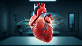 Air India's New Health Policy: Cabin Crew Fitness Standards and Consequences