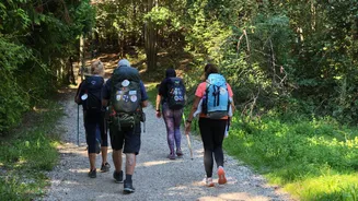 Hiking or paddleboarding? Which helps you feel less stressed?