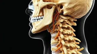 Related Stories banner