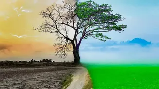Nepal's Geography Makes It A Disaster Hotspot: 10 Key Reasons Explained