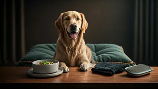 Fur Babies Are Getting Better Food And Grooming