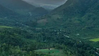 Dong Valley’s Sunrise View Comes With A Trek Through Forested Hills