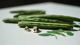 Unlock the Magic of Drumstick Plant: Delicious & Nutritious Culinary Adventures