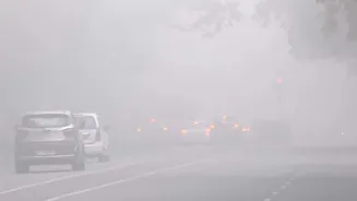 Watch | Delhi chokes under dense fog; flights delayed