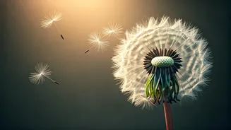 Beyond Alone: Unpacking the Psychology of Friendlessness Without Labeling It a Disorder