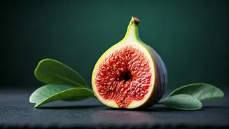 Unlock Wellness: The Amazing Health Secrets of the African Wild Fig