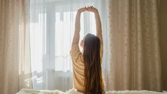 How Early Morning Sun Exposure Improves Deep Sleep Cycles And Daily Productivity Naturally