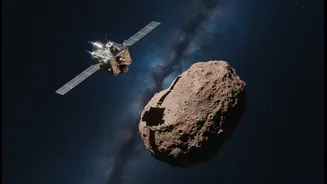 What We Can Learn from Hayabusa2's Torifune Asteroid Flyby about Precision Navigation