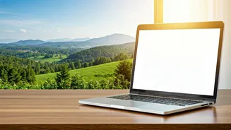 Upgrade Your Work From Home View In Southern Hill Hostels