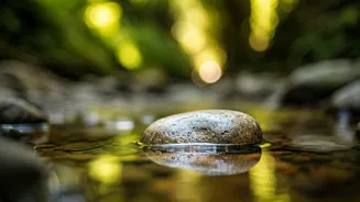 Finding Peace: Forgiveness, Mindfulness, and Inner Strength