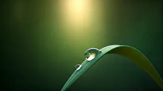 8 Simple Habits for a Present and Peaceful Life