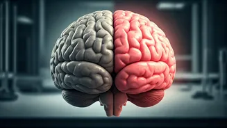 Related Stories banner