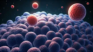 8 Simple Daily Habits to Revolutionize Your Gut Health, Expert Advice