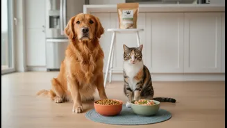 The Best Pet Diet Must Also Be Safe, Practical And Affordable Long Term