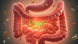 Related Stories banner