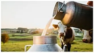 Uttar Pradesh Tops India In Milk Output With 40 Per Cent Growth, Now Contributes 16 Pc To National Production