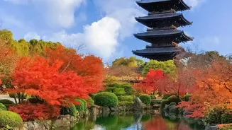Japan's Existing Tourist Tax Exemption Continues Until the End of October