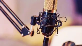 How Local AI Plugins Shield Sensitive Client Audio During Offline Transcripts