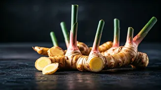 What Is Galangal And Why Cooks Love It
