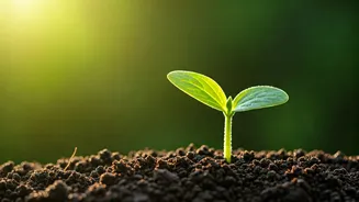 Going Green Has Never Been Easier