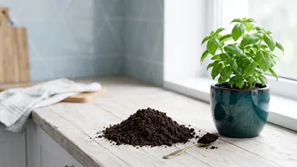 How To Transform Daily Kitchen Waste Into Nutrient-Rich Soil Compost For Flourishing Windowsill Herbs