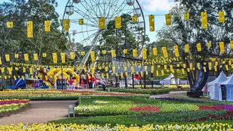 Jaipur's Mega Pet Carnival: Pet Owners and City Planners Can Compare Registration and Vaccination Support before Attending a Large Pet Event