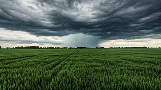 Farmers Rejoice As Widespread Monsoon Clouds Cover Bihar And Jharkhand