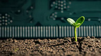 Human Touch Prevails: AI Tools Fall Short for Mental Health Distress Calls