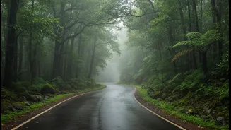 Nature, Rain And Road Trips Near Delhi This Weekend
