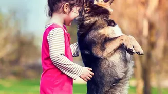 Urban Pet Living: Why Dog Park Group Play Guidelines Protect Community Harmony