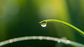 Don Miguel Ruiz's Timeless Wisdom: Embrace Your Best, Moment by Moment