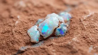 Why Tiny Crystals Matter to the History of Water on Mars