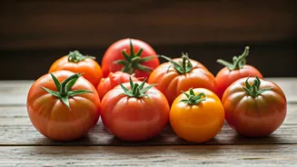 10 Tomato Dishes: A Culinary Journey Around the Globe