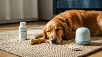 Why Mindful Pet Wellness Routines Overperformed Traditional Veterinary Markets