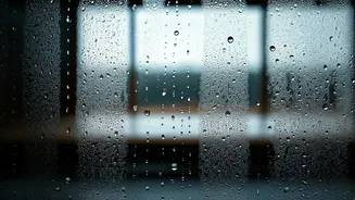 Dampness Has Entered The Home Chat