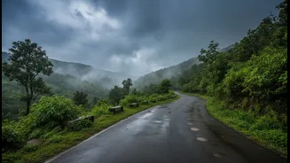 Essential safety guide for Western Ghats road trips during peak rainy season