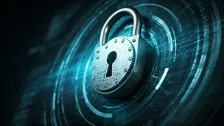 Understanding Website Security: How Bots Are Kept at Bay