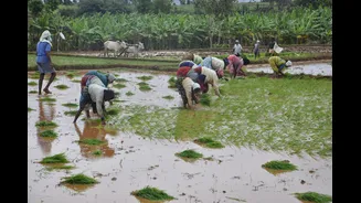 Karnataka Farmers to Protest Land Acquisition with 'Vidhana Soudha Chalo' Rally on August 25
