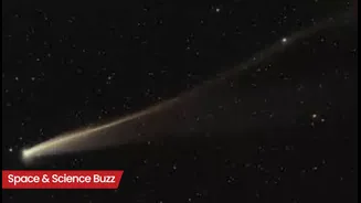 Science & Space Roundup: Top News of the Day (Nov 7)