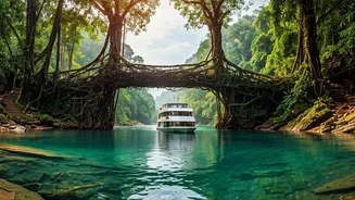 Root Bridges And River Cruises Are Travel Goals