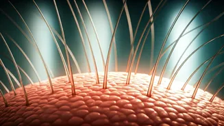 2026 Hair Goals Backed By Dermatologists