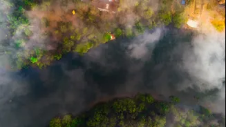 Eastern Ghats Witness Rising Wildfires, Western Ghats See Decline: Study