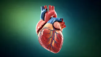 Naturally Lower Cholesterol: 6 Daily Habits