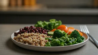 Fibre Can Fit Into Regular Lunch Plates