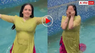 स्विमिंग पूल में 'जलपरी' बन उतरी सीमा हैदर, भीगे बदन पानी में लगाई ऐसी डुबकी कि देखते रह गए लोग