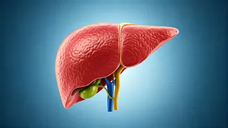 Teen's Liver Transplant: Junk Food & Health