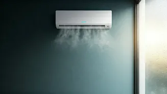 Monsoon Humidity Needs Smarter Indoor Cooling Choices