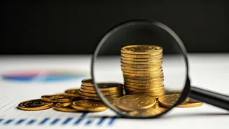 Lenskart IPO: Should You Apply?